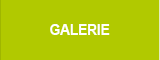 Zur Galerie